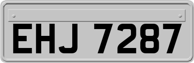 EHJ7287