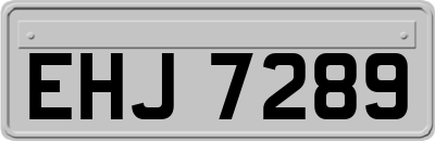 EHJ7289