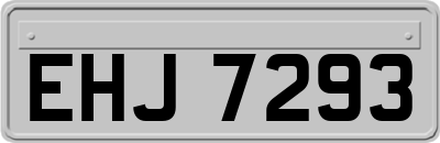 EHJ7293