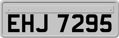 EHJ7295