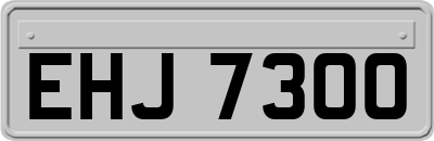 EHJ7300
