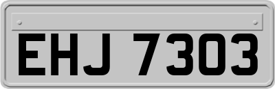 EHJ7303