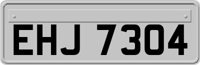 EHJ7304