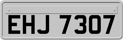 EHJ7307