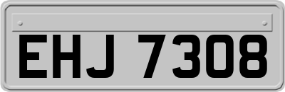 EHJ7308