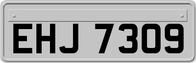 EHJ7309