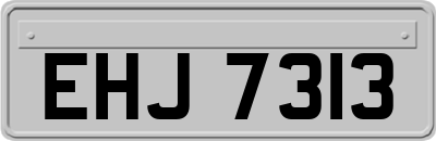 EHJ7313
