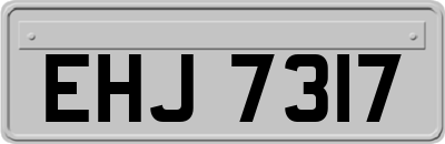 EHJ7317