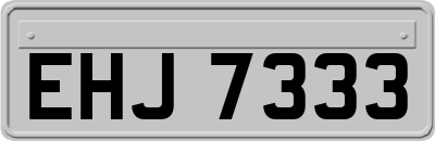 EHJ7333