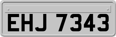 EHJ7343