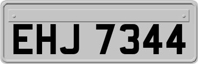 EHJ7344