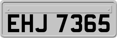 EHJ7365