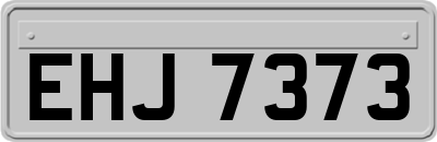EHJ7373