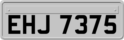 EHJ7375