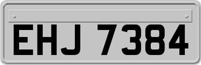 EHJ7384