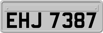 EHJ7387