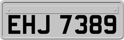 EHJ7389