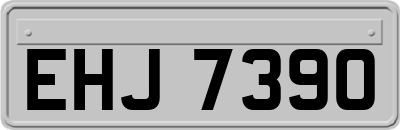 EHJ7390