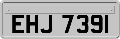 EHJ7391