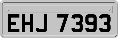 EHJ7393