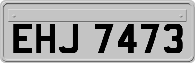 EHJ7473