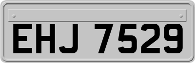 EHJ7529