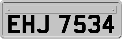 EHJ7534