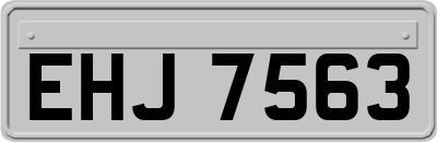 EHJ7563
