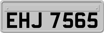 EHJ7565
