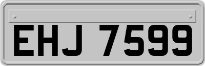 EHJ7599
