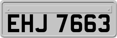 EHJ7663