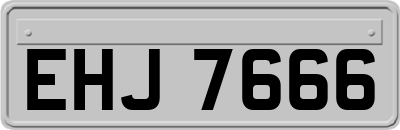 EHJ7666