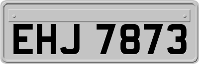 EHJ7873