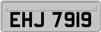 EHJ7919