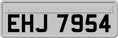 EHJ7954