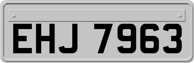 EHJ7963