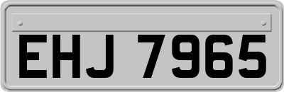 EHJ7965