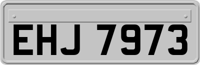 EHJ7973