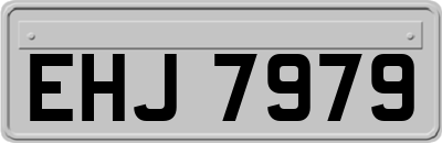 EHJ7979
