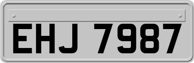 EHJ7987