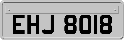 EHJ8018