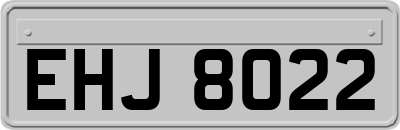 EHJ8022