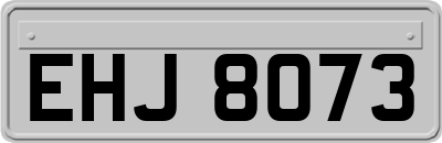 EHJ8073