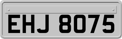 EHJ8075