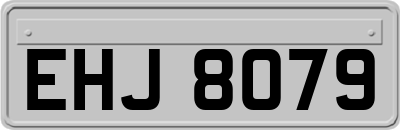 EHJ8079