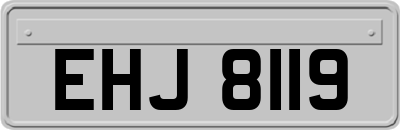 EHJ8119