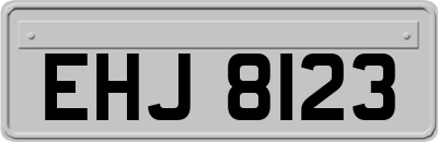 EHJ8123