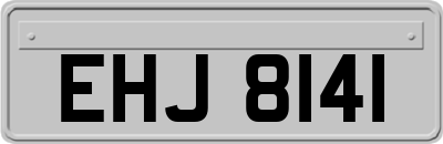EHJ8141