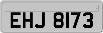 EHJ8173