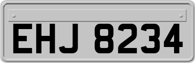 EHJ8234